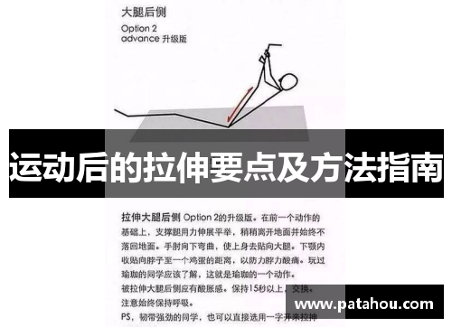 运动后的拉伸要点及方法指南